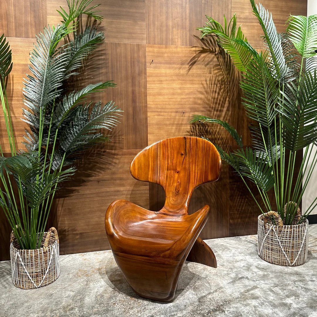 img_0215 Nest-Chair - Image 1