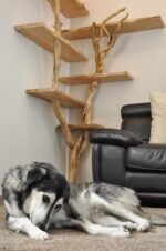 Juzur-Shelving Unit - Image 2