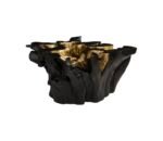 Roots Obsidian-Coffee Table - Image 2