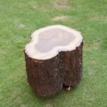 Tree Trunk-Side Table
