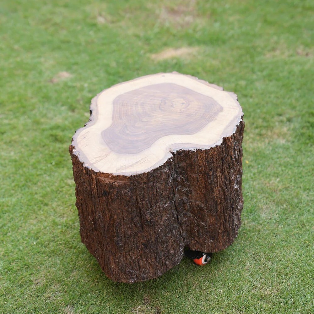 img_2320 Tree Trunk-Side Table - Image 1