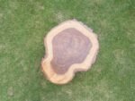 Tree Trunk-Side Table - Image 2