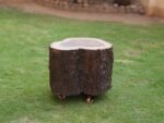 Tree Trunk-Side Table - Image 3