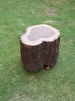 Tree Trunk-Side Table - Image 4