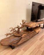 Dual Earth-TV Unit - Image 3